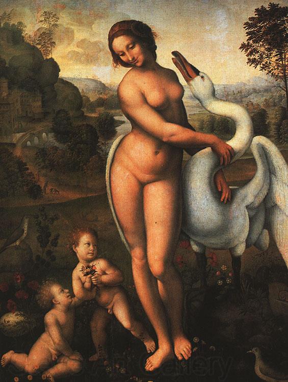  Leonardo  Da Vinci Leda